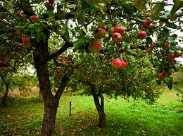 US pledges $16 billion in aid for farmers