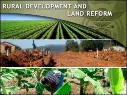 How did hunger levels in the former homelands catch up with the rest of South Africa? A hundred years after the Land Act of 1913