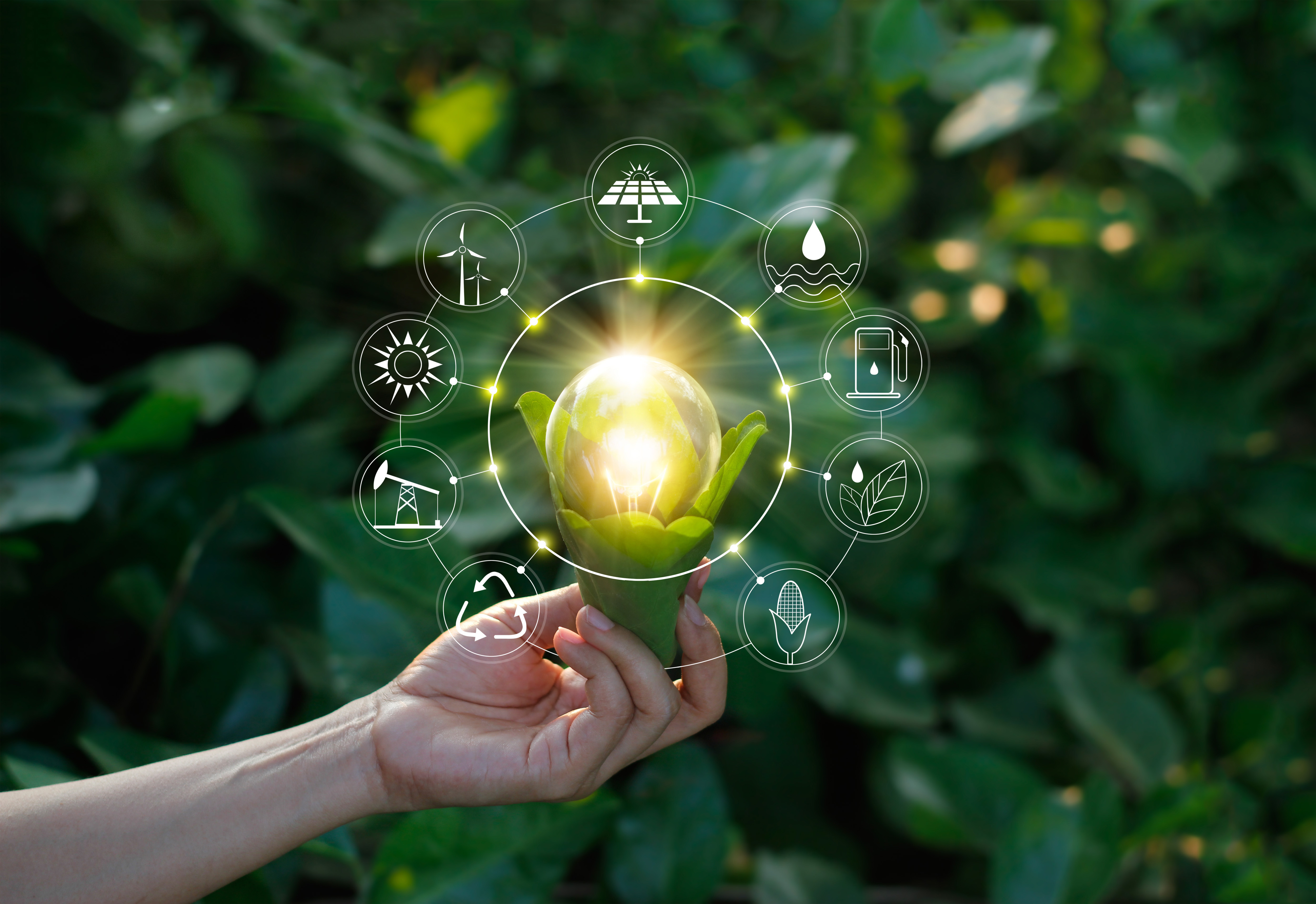 The EU’s Green Deal: opportunities, threats and risks for South African agriculture