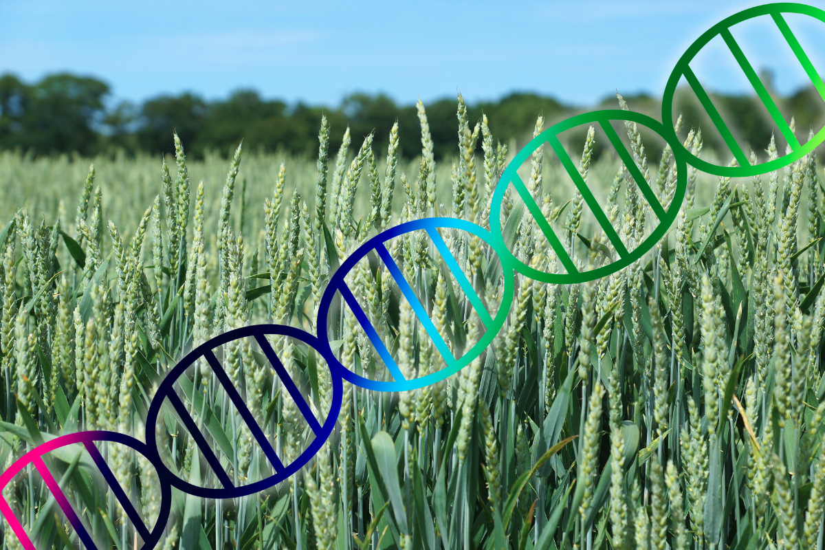 Gene-edited crops and animals: Best-kept secrets in the fight against climate change