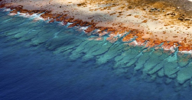 What Acid Rain Is and Ways to Restore the Damage It Causes