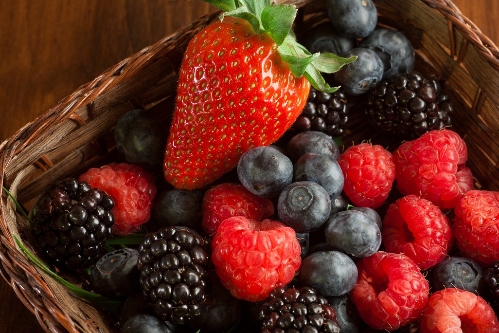  South Africa’s leading horticultural crops with higher employment potential per hectare planted