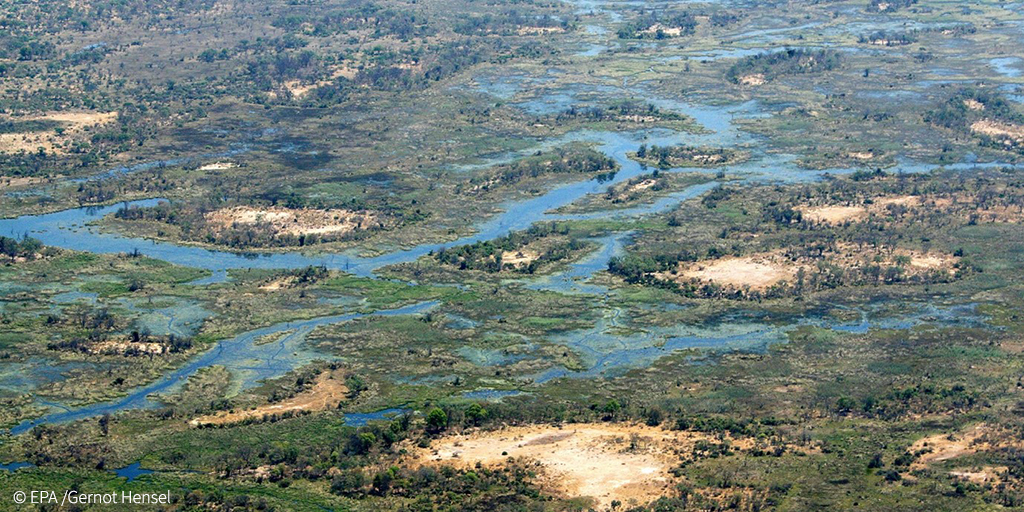 The ghastly spectre of oil drilling and fracking in fragile Okavango Delta