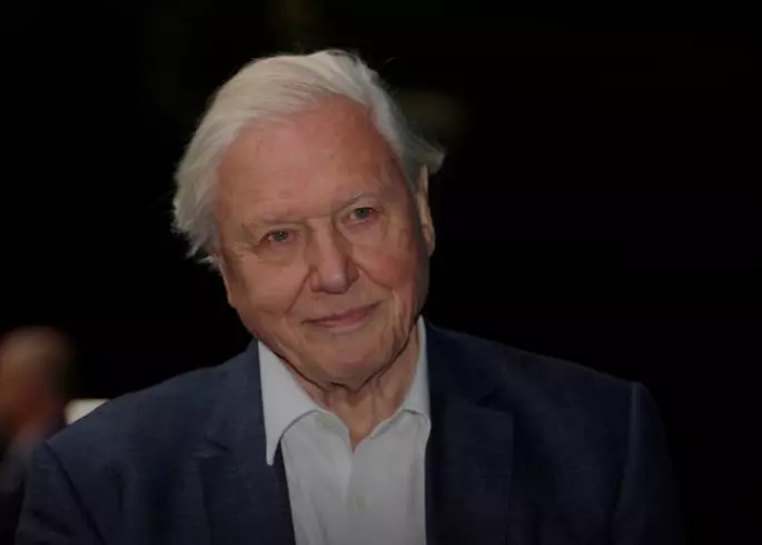 David Attenborough leads call for world to invest $500 billion a year to protect nature