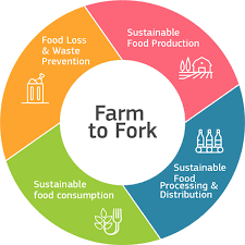 Where Does Our Food Come From?