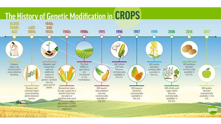 Outside influences steer GMO research