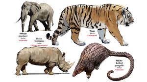 Unregulated international trade in reptiles threatens South Africa’s vulnerable species