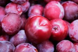 OVERVIEW GLOBAL PLUM MARKET- August 2020