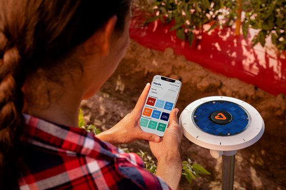 Smart soil sensors could reduce environmental damage from fertilizers