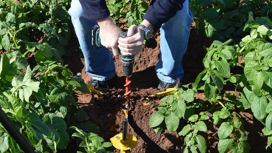 Guide to soil moisture sensors: Why use them and the options