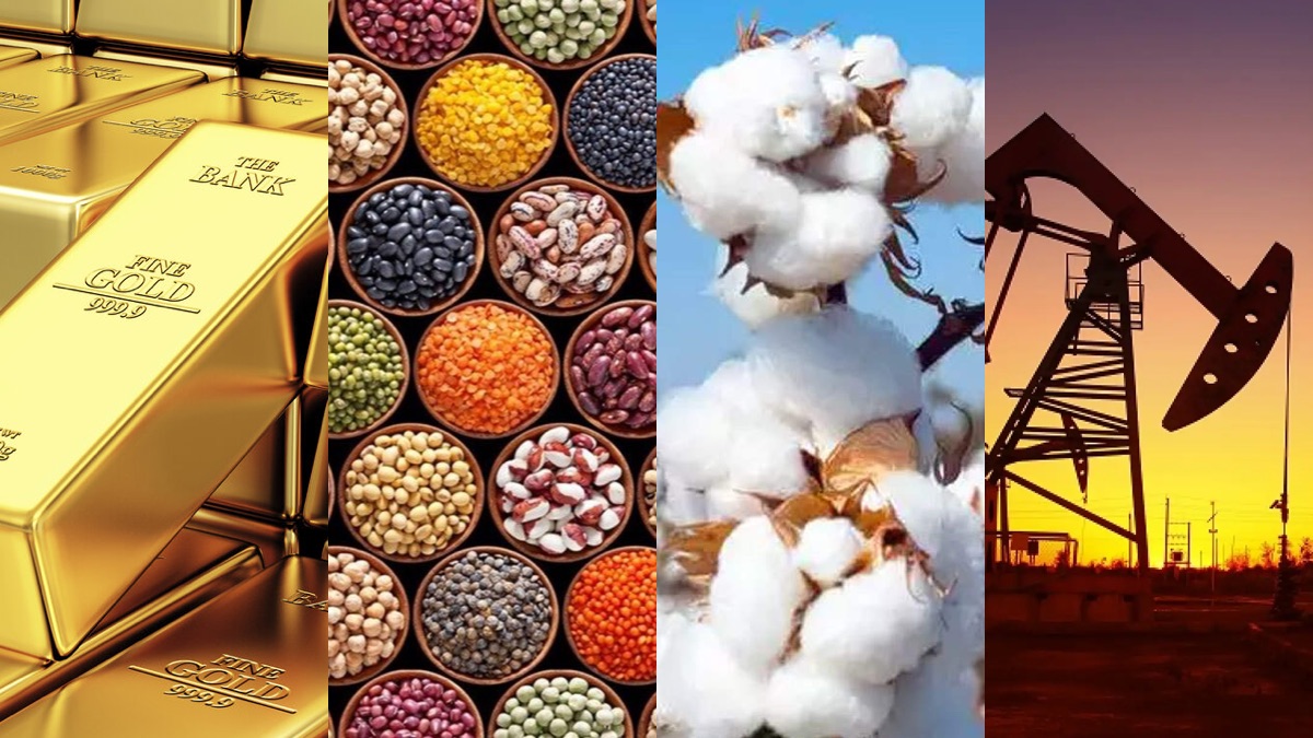 Corn, soybean prices seen falling