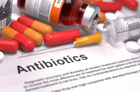 Antibiotic resistance is not new – it existed long before people used drugs to kill bacteria