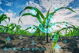 Building climate resilience important for agriculture, forestry and land use sustainability