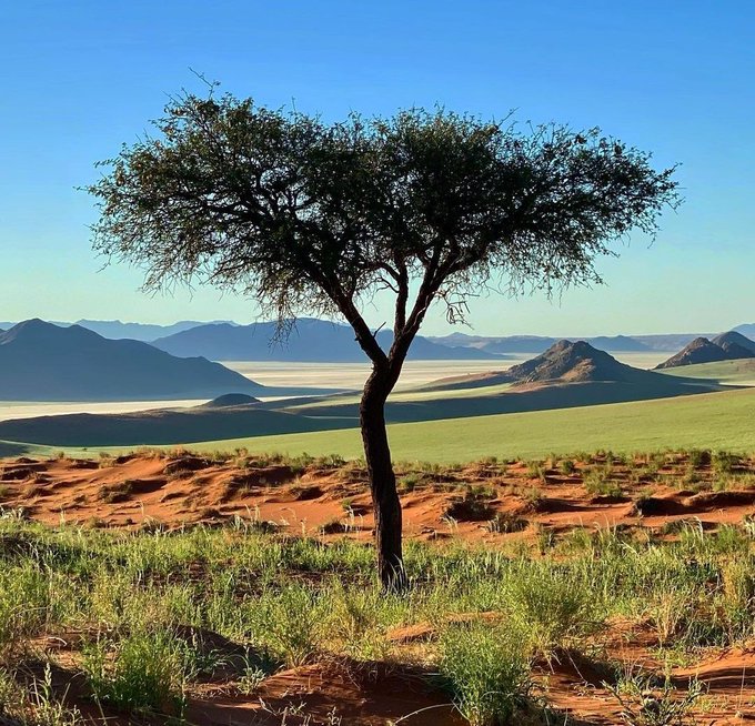 Namibia is poised to become the renewable energy hub of Africa