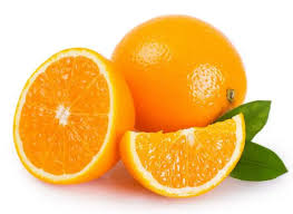 South Africa launches campaign to stop passage of damaging EU cold treatment rules for citrus