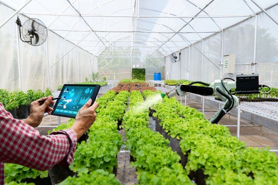 EU project Robs4Crops to accelerate shift towards robotics