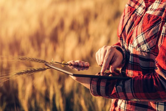 How to digitise the farm