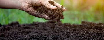 Farming without disturbing soil could cut agriculture’s climate impact by 30% – new research