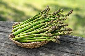 GLOBAL OVERVIEW ASPARAGUS - May 2022
