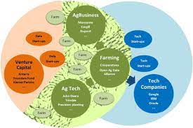 Looking at Big Data one plant at a time