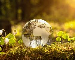 South Africa’s new environmental policy – a positive shift or a licence to kill?