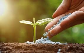 Prices of all three nutrients remain under pressure as global fertilizer demand is weak.