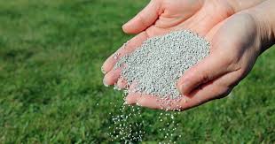 Shift from artificial fertilisers for dairy farms without reducing yields