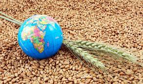 South Africa’s food security conditions
