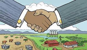 Lack of capital stymies BEE in agriculture — experts