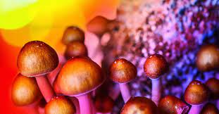 Magic mushrooms: Journeying into one’s psyche