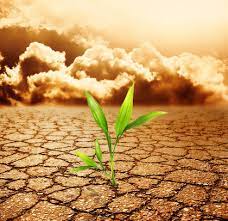 Soil health is crucial for food production - here's how to better protect it