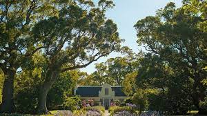   LIFE An iconic wine farm has trees on the up- South Africa
