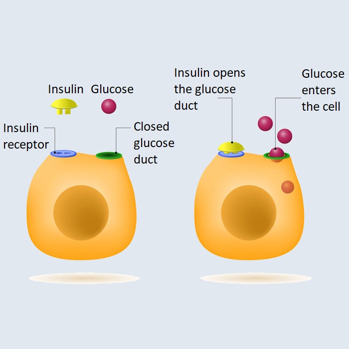 Weight loss no longer primary motivator for sugar reduction