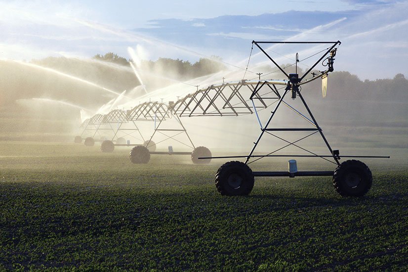 Farmers want fundamental change, not a sugar-coated version of ANC ideology