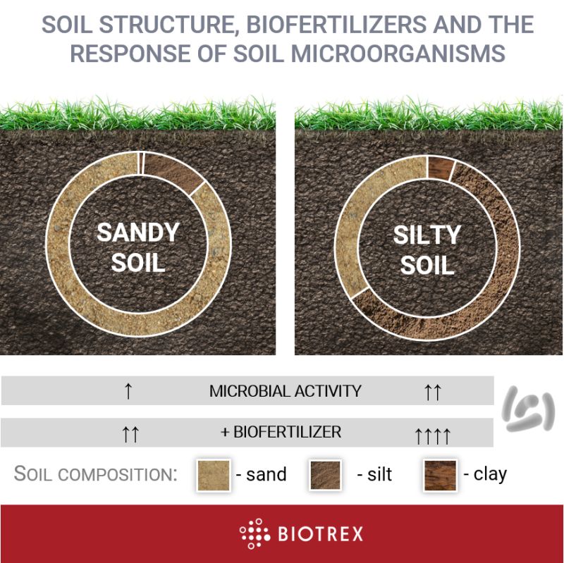 Soil Structure