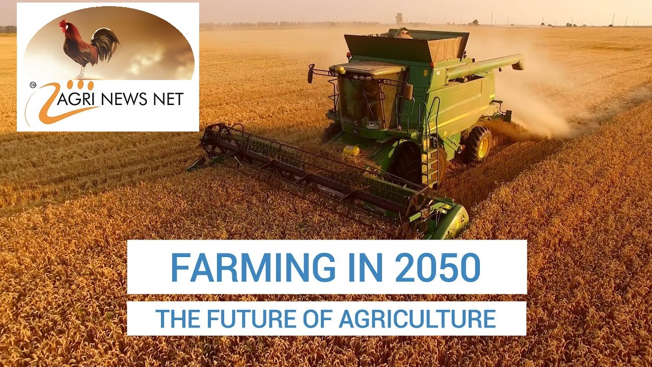 What should the agriculture agenda be in B20 under South Africa's leadership?