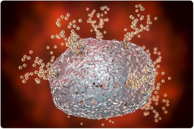 Understanding Histamines