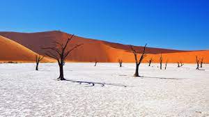 Namibia shows us the way