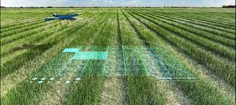 South Africa Agriculture need change and assistance