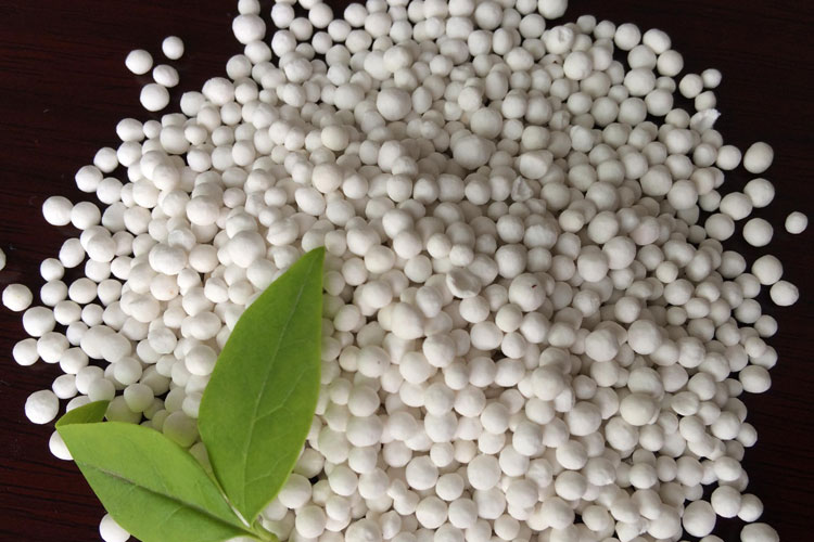 South Africa’s farmers aren’t yet replacing chemical fertilisers with sustainable alternatives – this is why