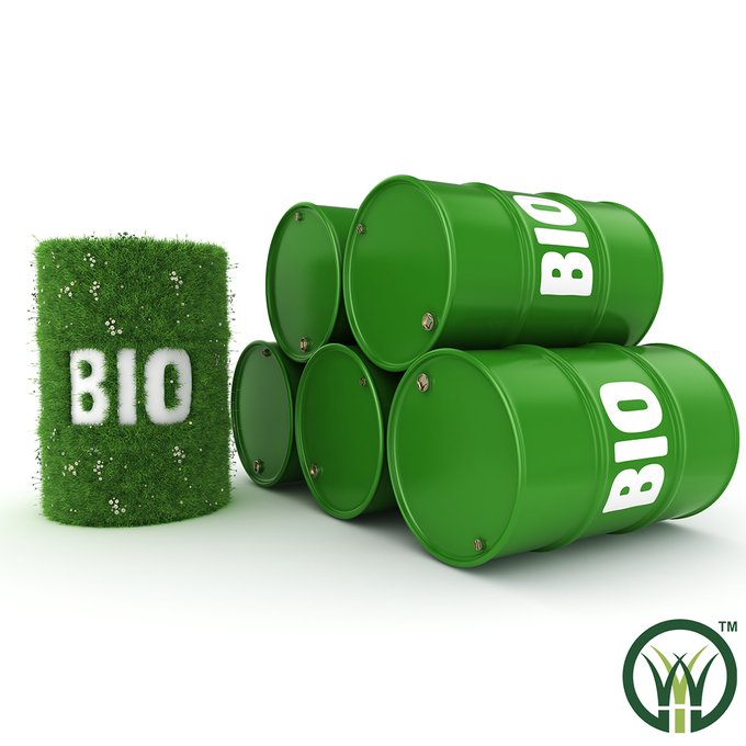 Biofuel Production -