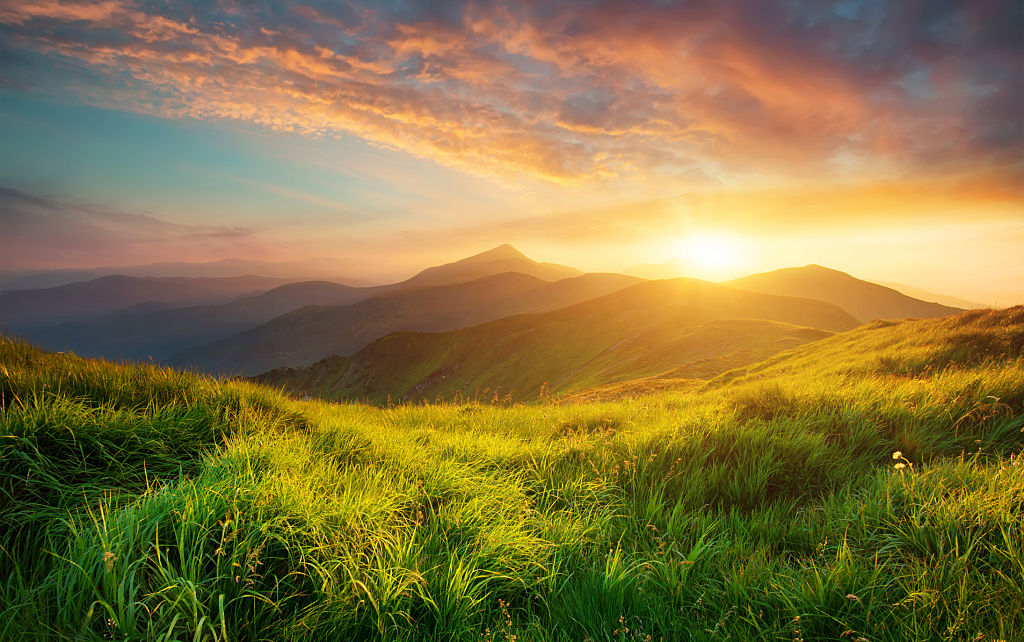 A Damaged Earth: How Are We Going to Fix Land Degradation and Drought?