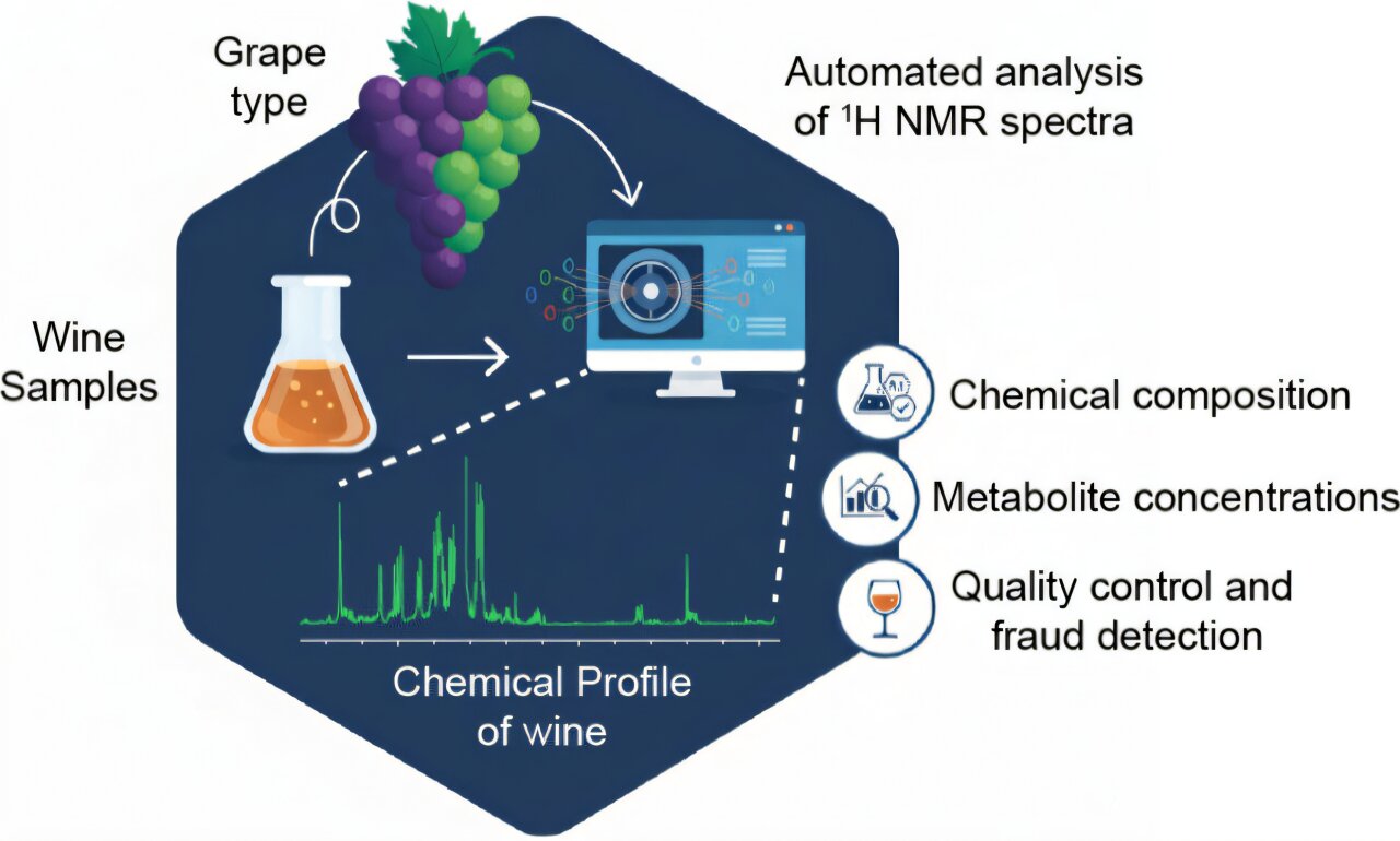 What's in your wine? Using NMR to reveal its chemical profile
