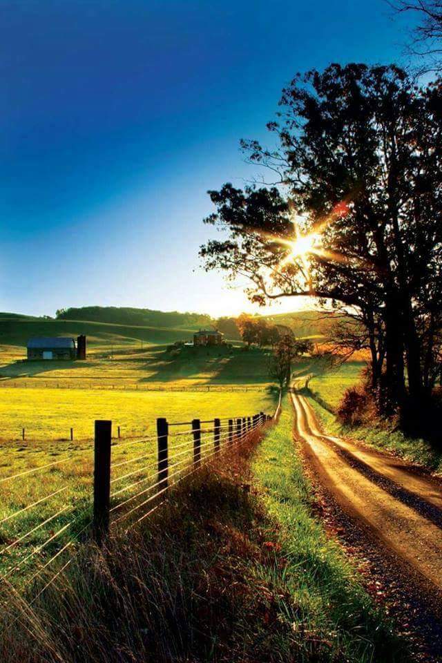 South Africa agriculture: Opportunities, challenges and legislation in Farming.