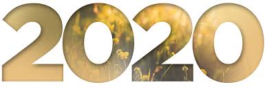 Dis 2020 en waar staan Landbou in Suid Afrika