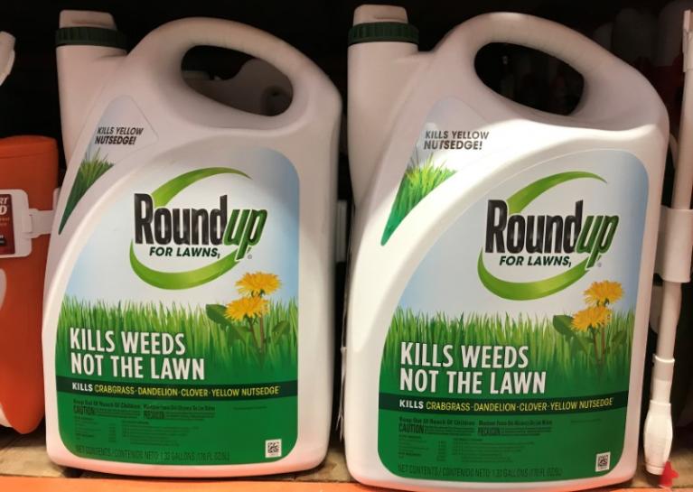 Neonicotinoid pesticides pose a serious threat to human’s health, as well as bees, birds and other insects