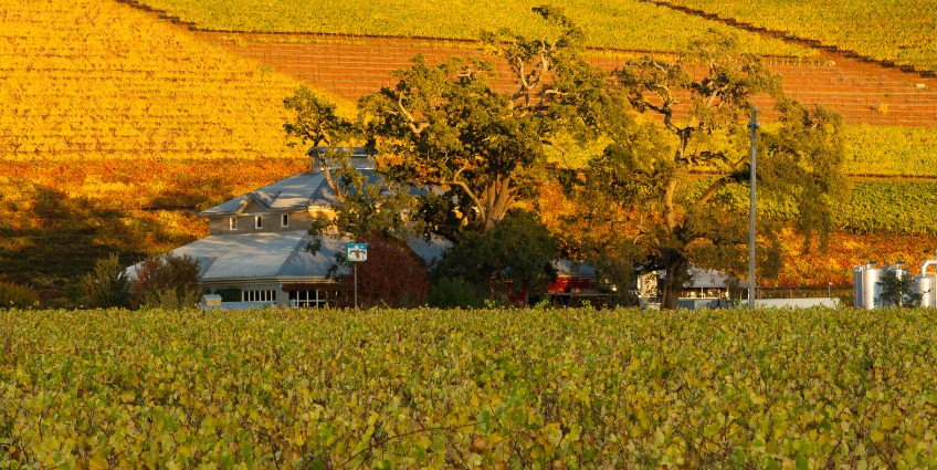 Global and historical lessons on how land reforms have unfolded