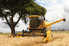 Agricultural land: Asset, investment or consumption?- South Africa 