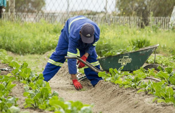 Millennials are transforming African farming ( video)