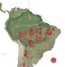 Amazon fires bring attention to Africa’s forests in flame
